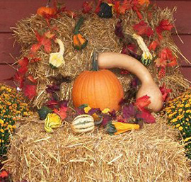 Festivités à l'automne